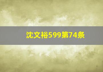 沈文裕599第74条