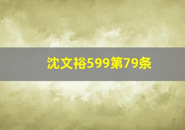 沈文裕599第79条