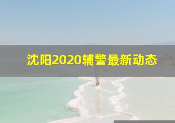 沈阳2020辅警最新动态