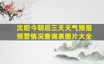 沈阳今明后三天天气预报预警情况查询表图片大全