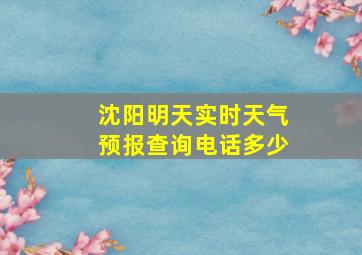 沈阳明天实时天气预报查询电话多少