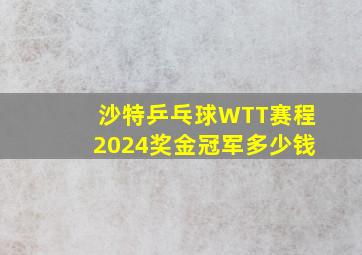 沙特乒乓球WTT赛程2024奖金冠军多少钱