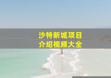 沙特新城项目介绍视频大全