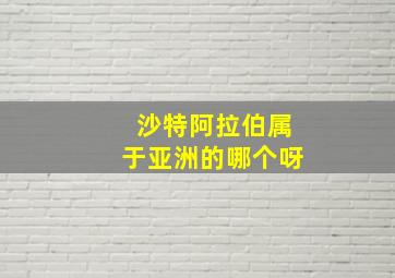 沙特阿拉伯属于亚洲的哪个呀