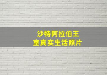 沙特阿拉伯王室真实生活照片