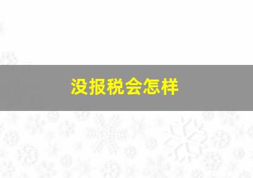 没报税会怎样