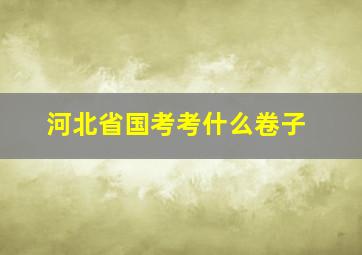 河北省国考考什么卷子