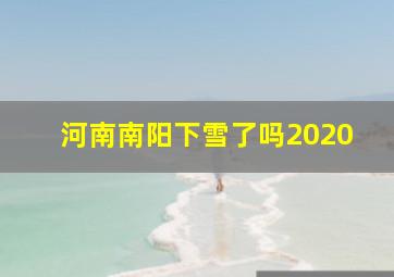 河南南阳下雪了吗2020