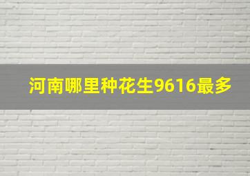 河南哪里种花生9616最多