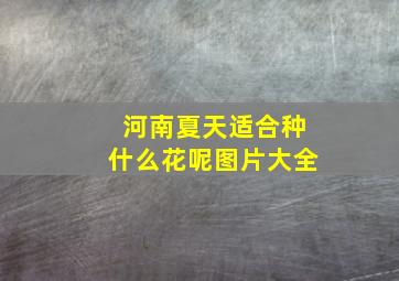 河南夏天适合种什么花呢图片大全