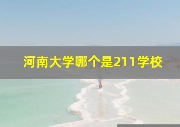 河南大学哪个是211学校