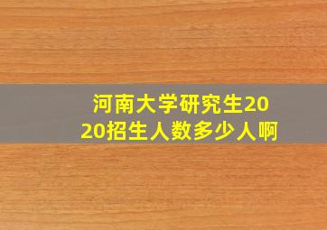 河南大学研究生2020招生人数多少人啊