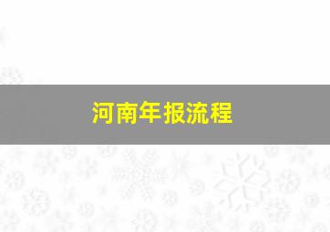 河南年报流程