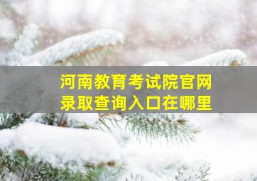 河南教育考试院官网录取查询入口在哪里