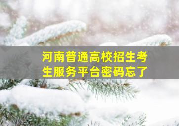 河南普通高校招生考生服务平台密码忘了