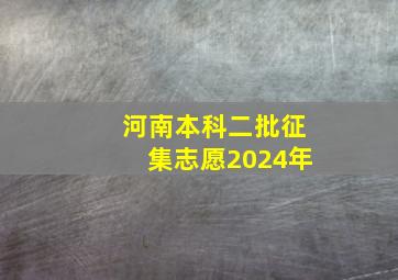 河南本科二批征集志愿2024年