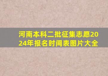 河南本科二批征集志愿2024年报名时间表图片大全