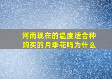 河南现在的温度适合种购买的月季花吗为什么