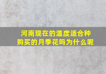 河南现在的温度适合种购买的月季花吗为什么呢