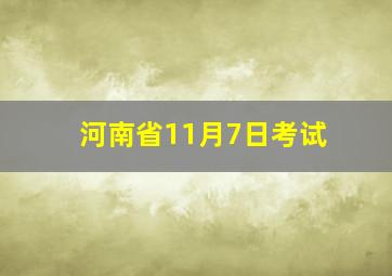 河南省11月7日考试