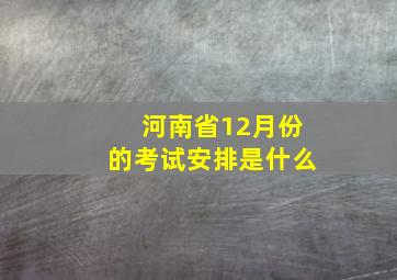 河南省12月份的考试安排是什么