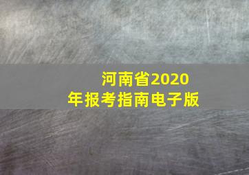 河南省2020年报考指南电子版