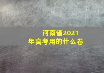 河南省2021年高考用的什么卷