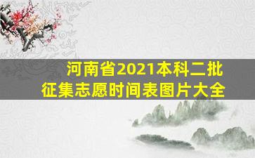 河南省2021本科二批征集志愿时间表图片大全