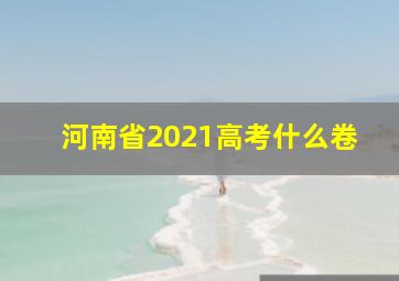 河南省2021高考什么卷