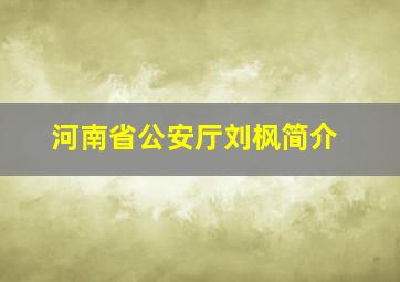 河南省公安厅刘枫简介