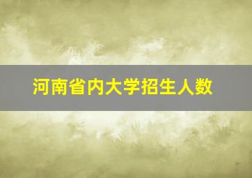 河南省内大学招生人数