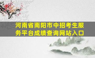 河南省南阳市中招考生服务平台成绩查询网站入口