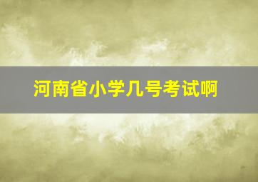 河南省小学几号考试啊