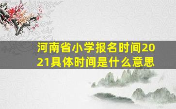 河南省小学报名时间2021具体时间是什么意思