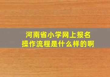 河南省小学网上报名操作流程是什么样的啊