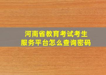 河南省教育考试考生服务平台怎么查询密码