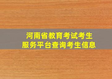 河南省教育考试考生服务平台查询考生信息