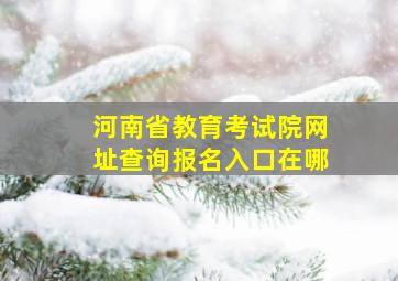 河南省教育考试院网址查询报名入口在哪