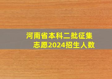 河南省本科二批征集志愿2024招生人数