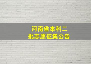 河南省本科二批志愿征集公告