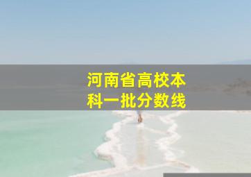 河南省高校本科一批分数线