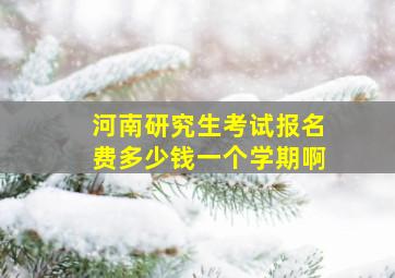 河南研究生考试报名费多少钱一个学期啊