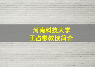 河南科技大学王占彬教授简介