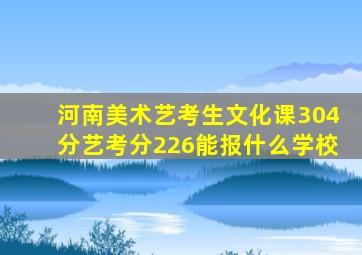 河南美术艺考生文化课304分艺考分226能报什么学校