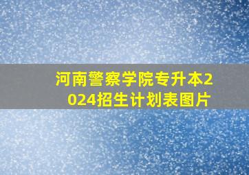 河南警察学院专升本2024招生计划表图片