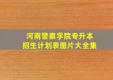 河南警察学院专升本招生计划表图片大全集