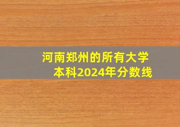 河南郑州的所有大学本科2024年分数线