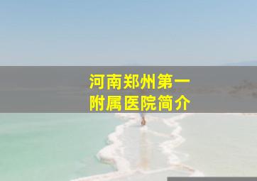 河南郑州第一附属医院简介