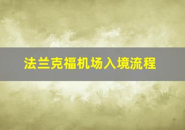 法兰克福机场入境流程