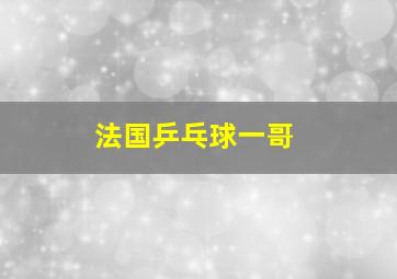 法国乒乓球一哥